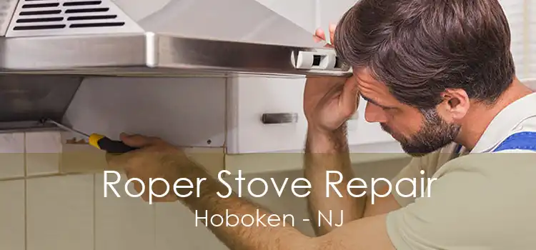 Roper Stove Repair Hoboken - NJ