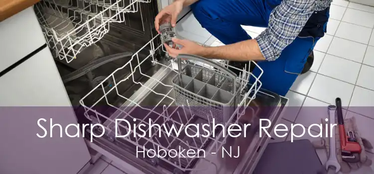 Sharp Dishwasher Repair Hoboken - NJ