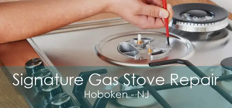 Signature Gas Stove Repair Hoboken - NJ