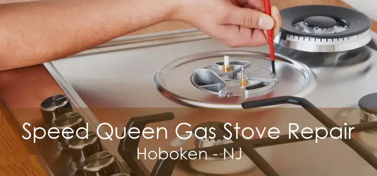 Speed Queen Gas Stove Repair Hoboken - NJ