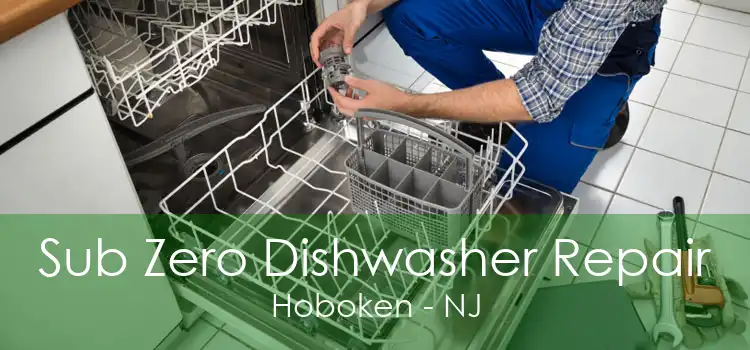 Sub Zero Dishwasher Repair Hoboken - NJ