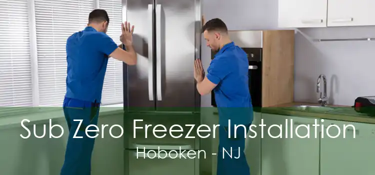 Sub Zero Freezer Installation Hoboken - NJ