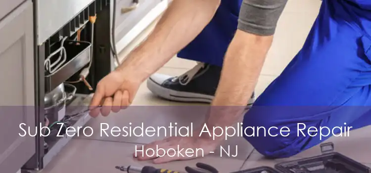 Sub Zero Residential Appliance Repair Hoboken - NJ