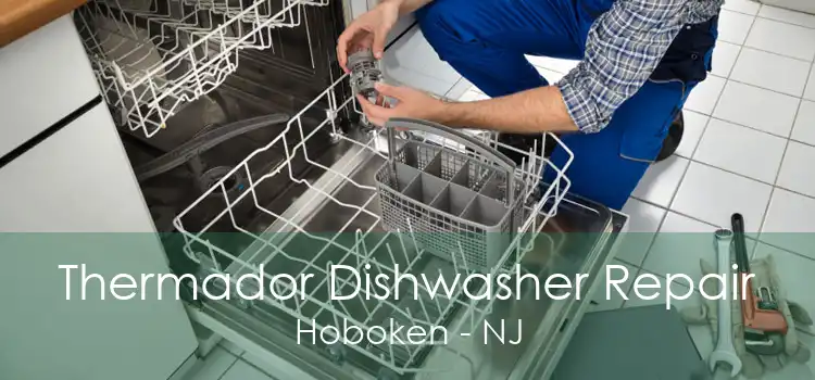 Thermador Dishwasher Repair Hoboken - NJ