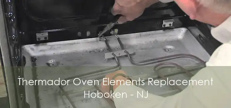 Thermador Oven Elements Replacement Hoboken - NJ