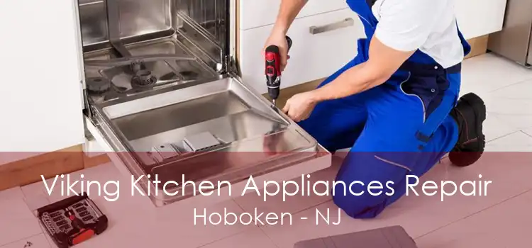 Viking Kitchen Appliances Repair Hoboken - NJ