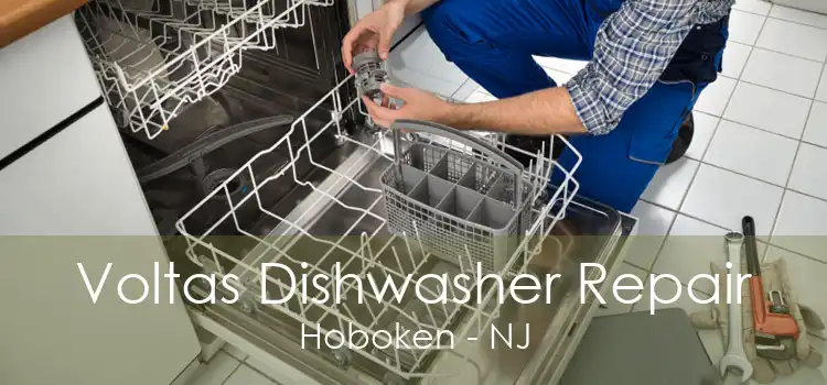 Voltas Dishwasher Repair Hoboken - NJ