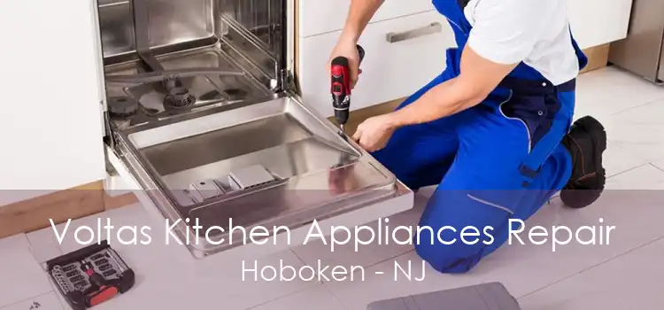 Voltas Kitchen Appliances Repair Hoboken - NJ