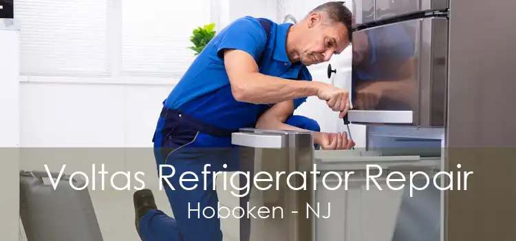 Voltas Refrigerator Repair Hoboken - NJ