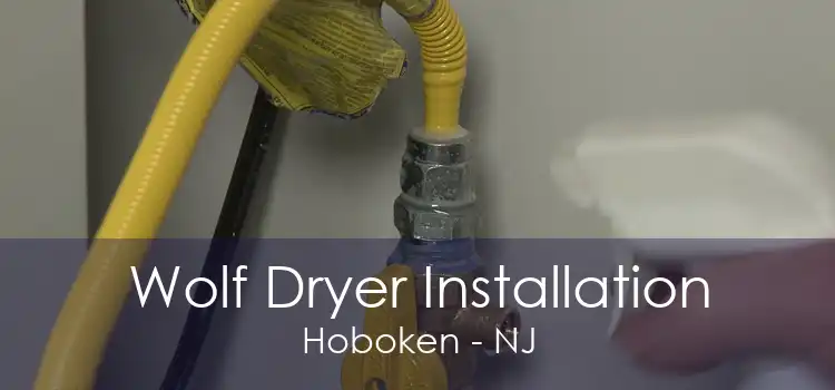 Wolf Dryer Installation Hoboken - NJ