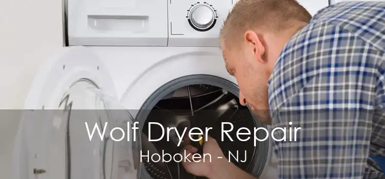 Wolf Dryer Repair Hoboken - NJ