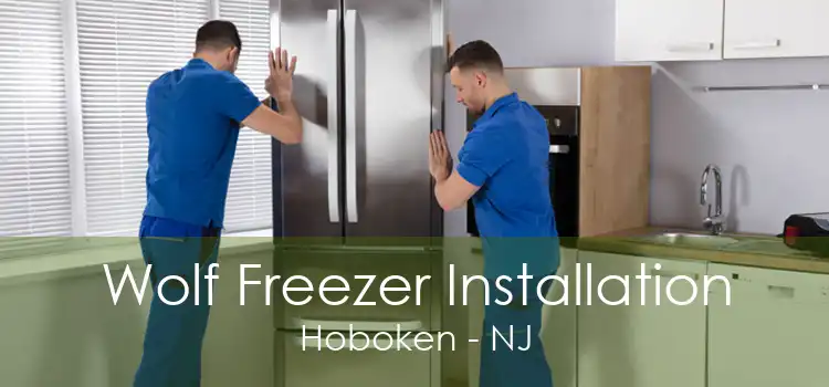 Wolf Freezer Installation Hoboken - NJ