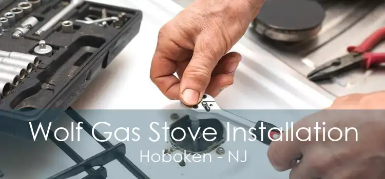 Wolf Gas Stove Installation Hoboken - NJ