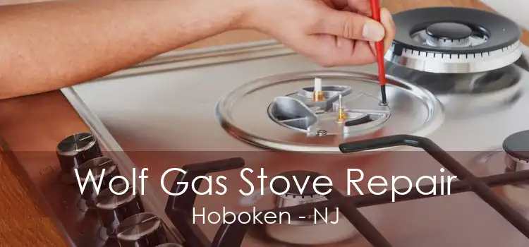 Wolf Gas Stove Repair Hoboken - NJ