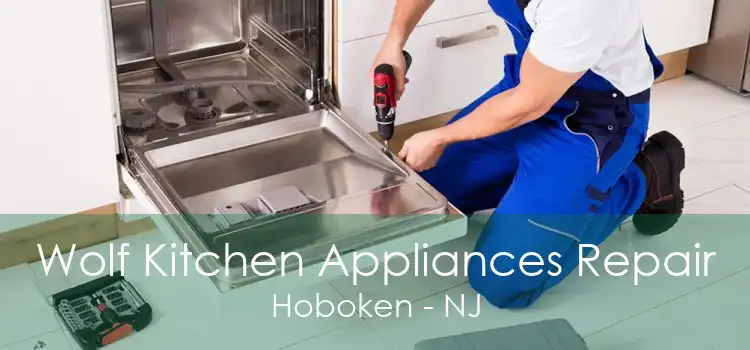 Wolf Kitchen Appliances Repair Hoboken - NJ