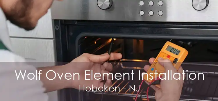 Wolf Oven Element Installation Hoboken - NJ