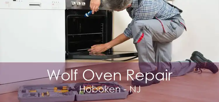 Wolf Oven Repair Hoboken - NJ