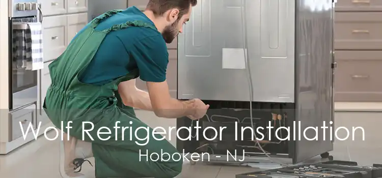 Wolf Refrigerator Installation Hoboken - NJ