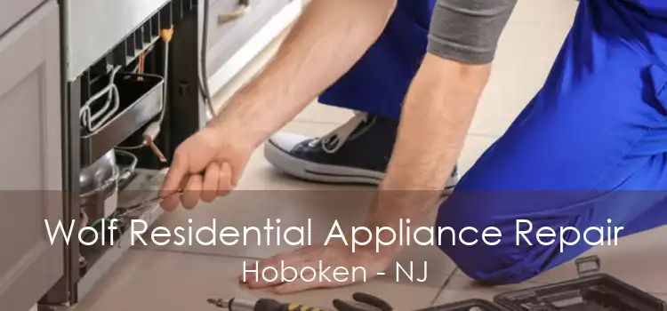 Wolf Residential Appliance Repair Hoboken - NJ