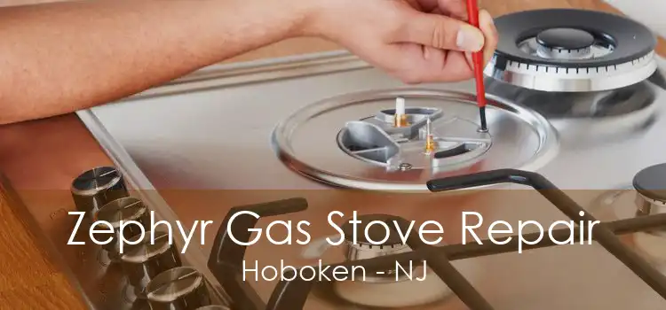 Zephyr Gas Stove Repair Hoboken - NJ